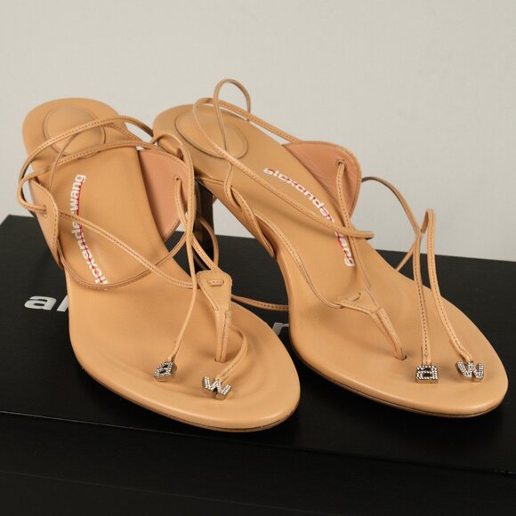 Alexander Wang Shoes - Alexander Wang Lucienne Ankle Tie 65mm Thong Sandals